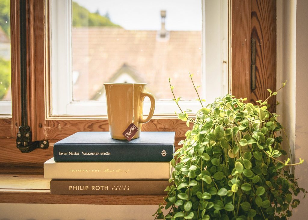 book and plant on windowsill